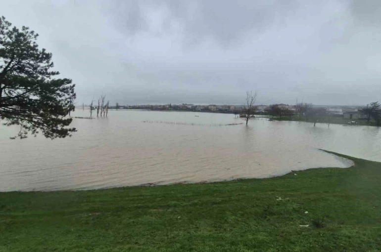 Meriç Nehri’nden taşan sular yaşam alanlarına kadar ulaştı 