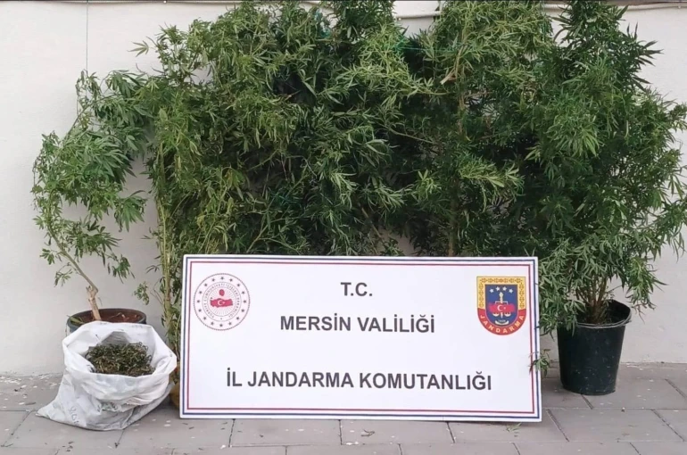 Mersin’de kenevir ekip uyuşturucu üreten şüpheli yakalandı
