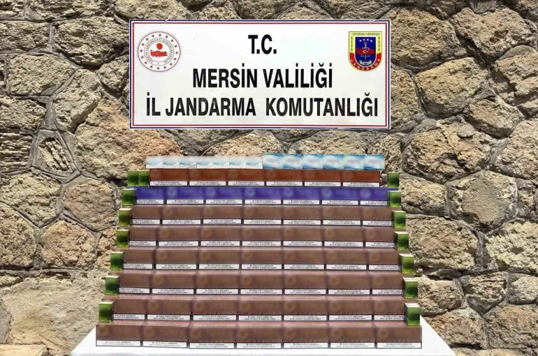 Mersin’de 3 bin 850 paket kaçak elektronik tütün ele geçirildi