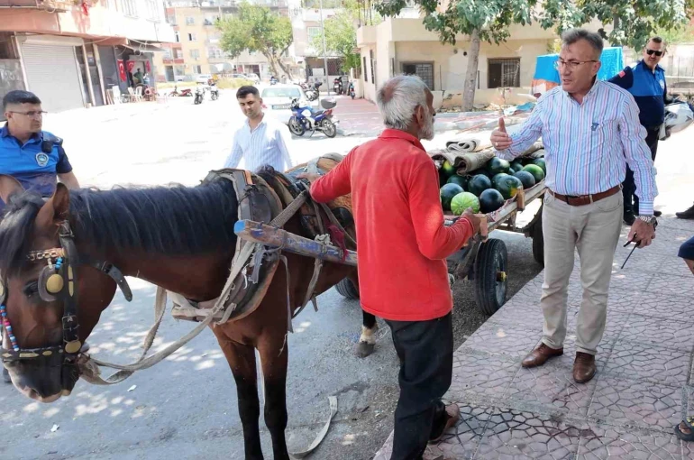 Mersin’de bitkin düşen at yeni yuvasına kavuştu