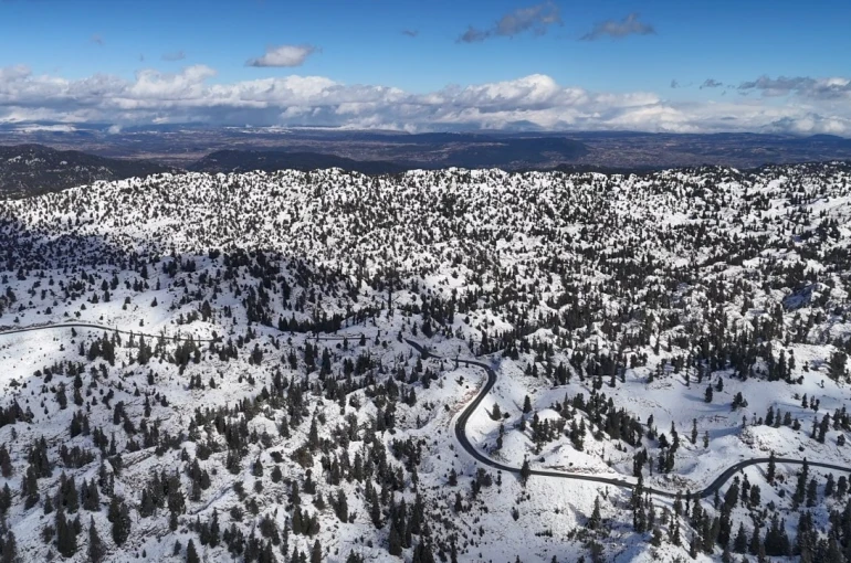 Mersin’de karla kaplanan ormanlık alandan kartpotallık görüntüler 