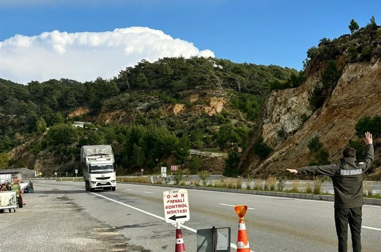 Mersin’de orman suçlarına eş zamanlı denetim