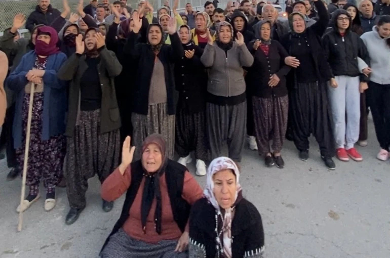 Mersin’de ormanlık alana ekili narenciye bahçelerinin kaldırılması kararına tepki 