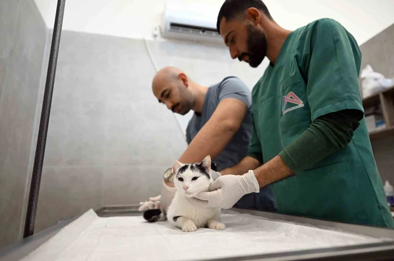 Mersin’de sokak kedileri için yeni merkez hizmete girdi 