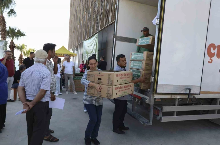 Mersin’de üreticiye fide ve güneş paneli desteği