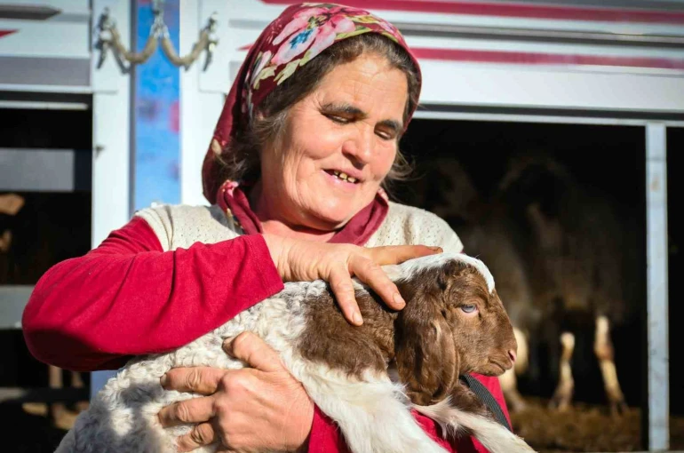 Mersin’de yem ve küçükbaş desteği üreticiyi güçlendiriyor 