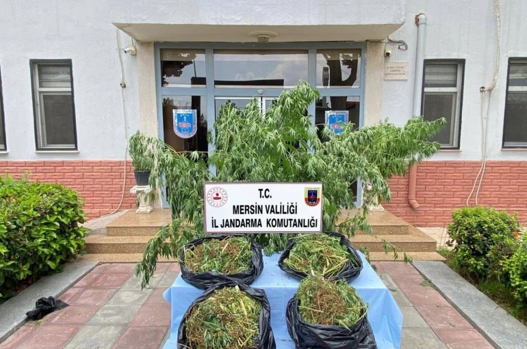 Mersin’de zehir tacirlerine darbe 