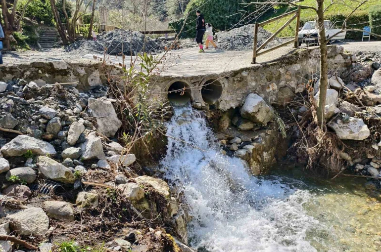 Mesir Tabiat Parkı’na ziyaretçi akını 