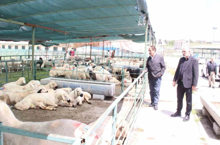 MESOB Başkanı Keskin: "Canlı Hayvan Pazarı yeniden kamu malı olmalı"