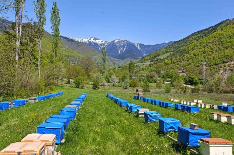 Mevsim normallerinin altında seyreden hava sıcaklığı arıcıları vurdu, uzmanlardan kritik uyarı 