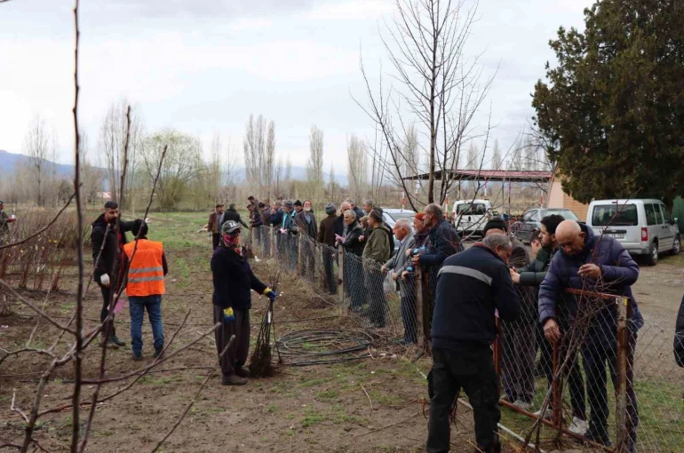 Meyve fidanı satışı 30 Mart’ta yapılacak 