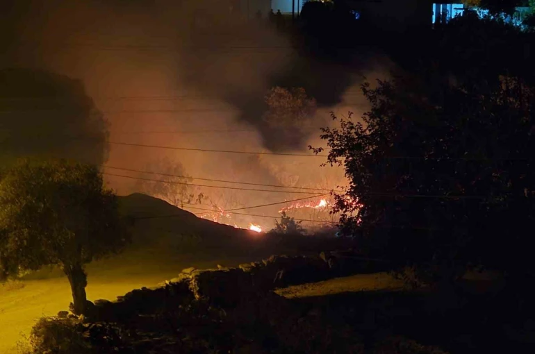 Milas’ta çıkan sazlık yangını hızlı müdahaleyle kontrol altına alındı 
