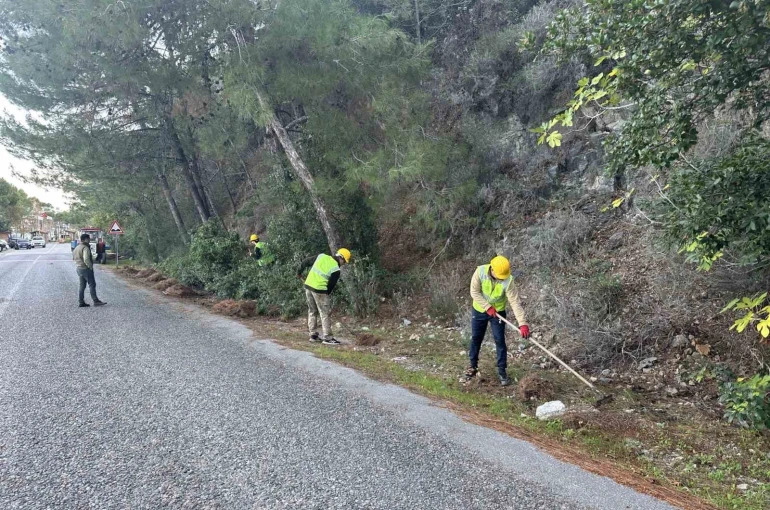 Milli Park’ta risk azaltma çalışmaları sürüyor 