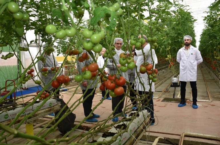Modern sera yatırımları Salihli’de tarımı güçlendiriyor 
