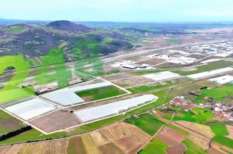Modern tarımın yeni adresi Bafra: Karadeniz’de başarı hikayesi yazılıyor 