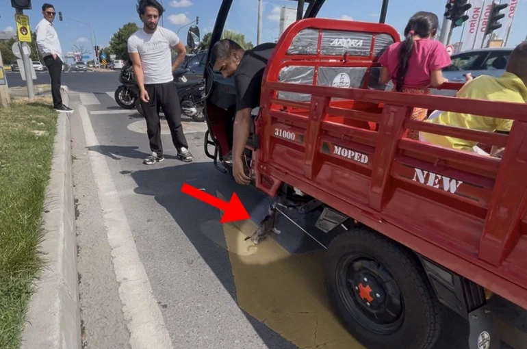 Mopede dadanan yavru kedi ezilmekten son anda kurtarıldı 