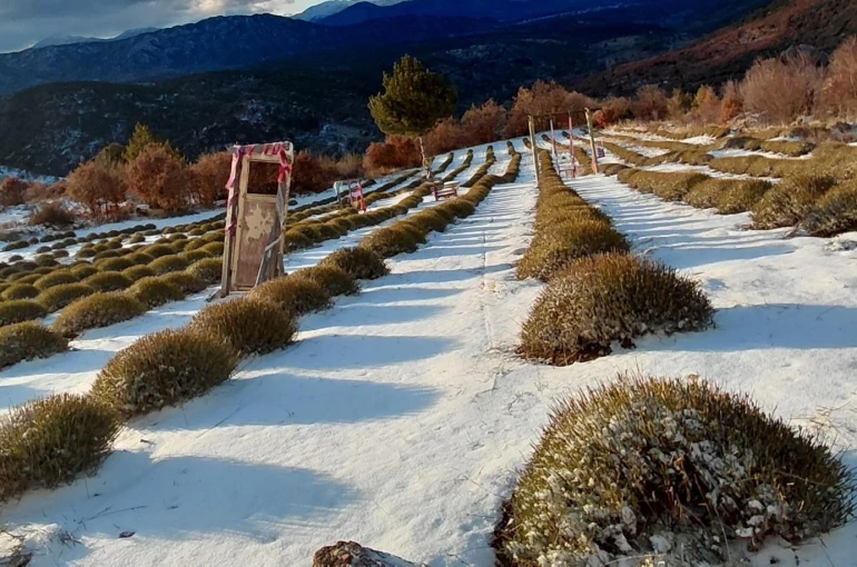 Mor bahçeler beyaza büründü, barajlara su geldi