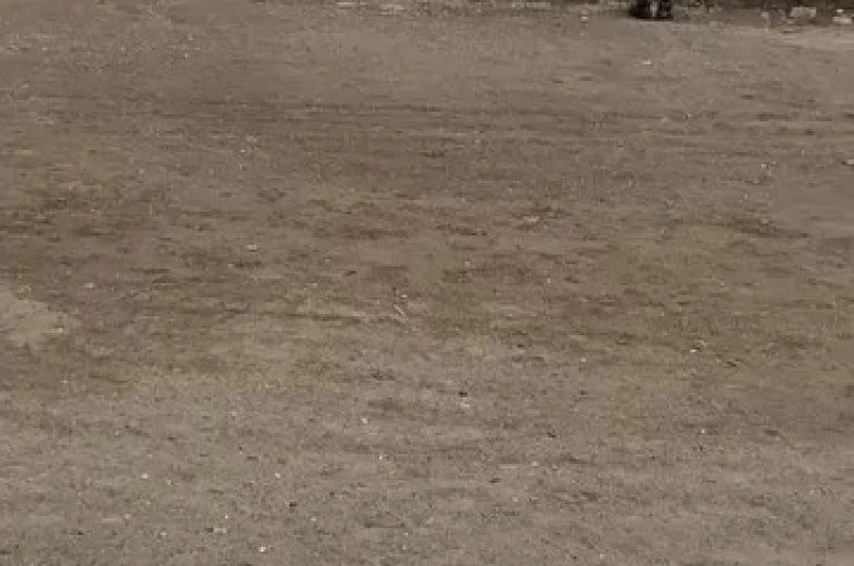 Mudanya sahilinde oltaya takılan martıyı vatandaş kurtardı 