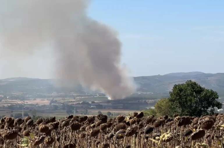 Mudanya’da korkutan yangın: Havadan ve karadan müdahale ediliyor
