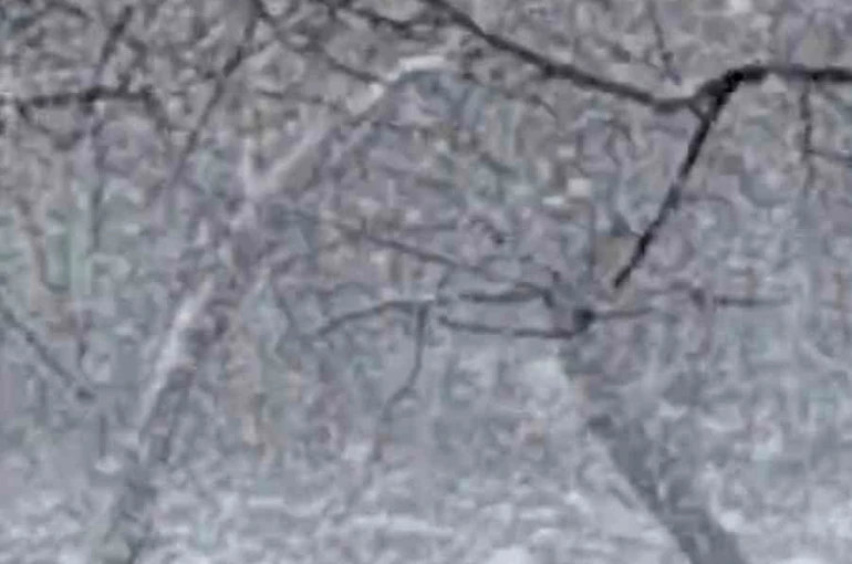 Mudurnu’da lapa lapa kar yağışı etkili oldu