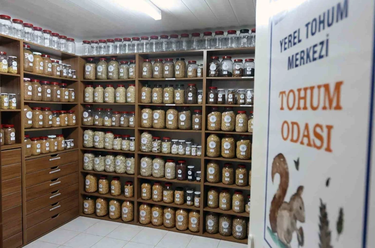 Muğla Büyükşehir 2026 yılında 3 milyon ata tohumu dağıtacak 