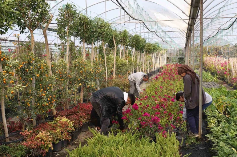 Muğla Büyükşehir’den yerel kalkınmaya katkı 