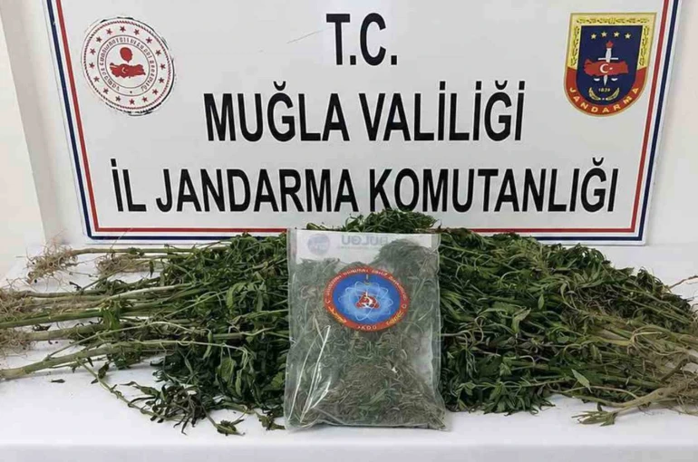 Muğla Jandarmasından uyuşturucu tacirlerine operasyon: 33 tutuklama