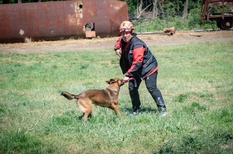 Muğla NAK Arama Kurtarma Köpekleri Macaristan’da sahaya indi