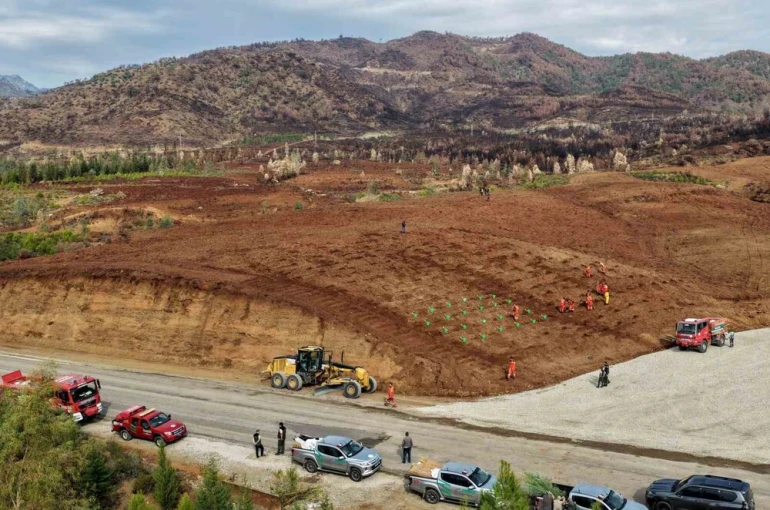 Muğla Orman Bölge Müdürlüğü ‘Yeşil Vatan’ seferberliğine hazır 
