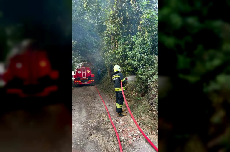 Muğla’da korkutan ot yangını: 30 metrekare alan zarar gördü