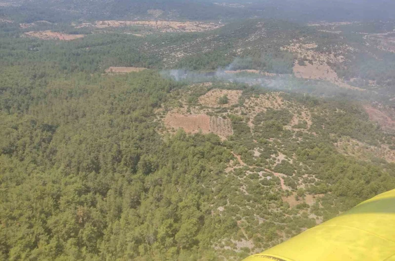 Muğla’da orman yangını kontrol altına alındı