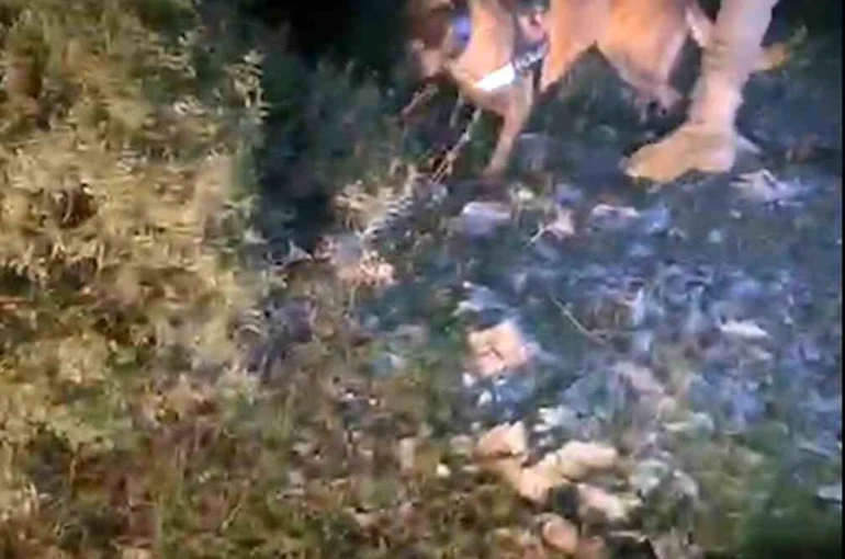 Muğla’da piyasa değeri 4 milyon TL olan uyuşturucu ele geçirildi