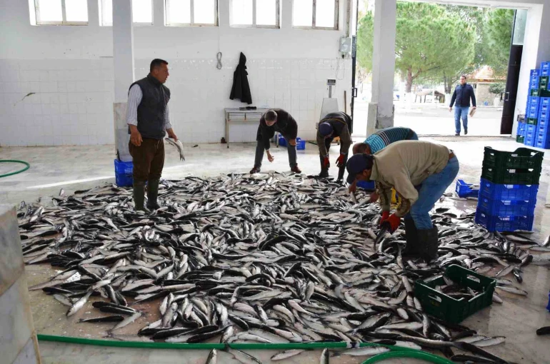 Muğla’dan 10 ayda 618 milyon dolar balık ihracatı