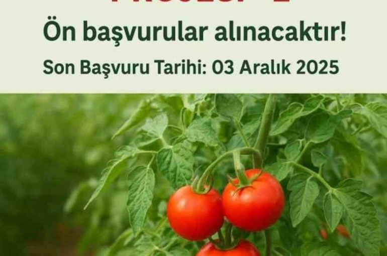 Muradiye’de "Domates Yetiştiriciliği" projesi için ön başvurular başladı 
