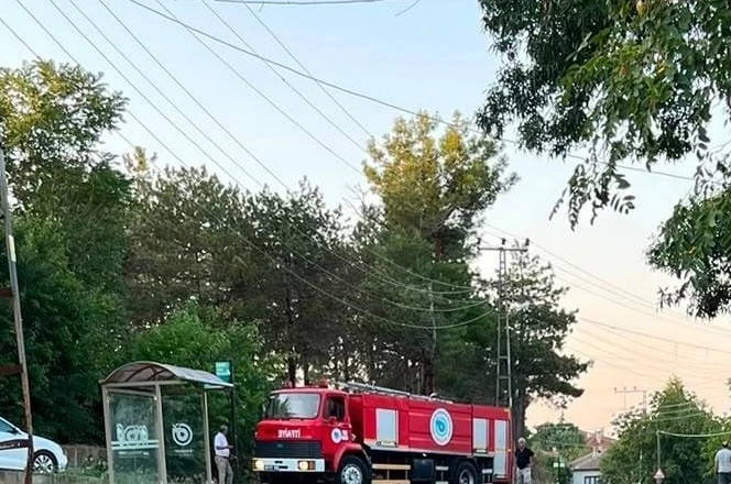 Muratlı’da ağaçlık alanda çıkan yangın söndürüldü 
