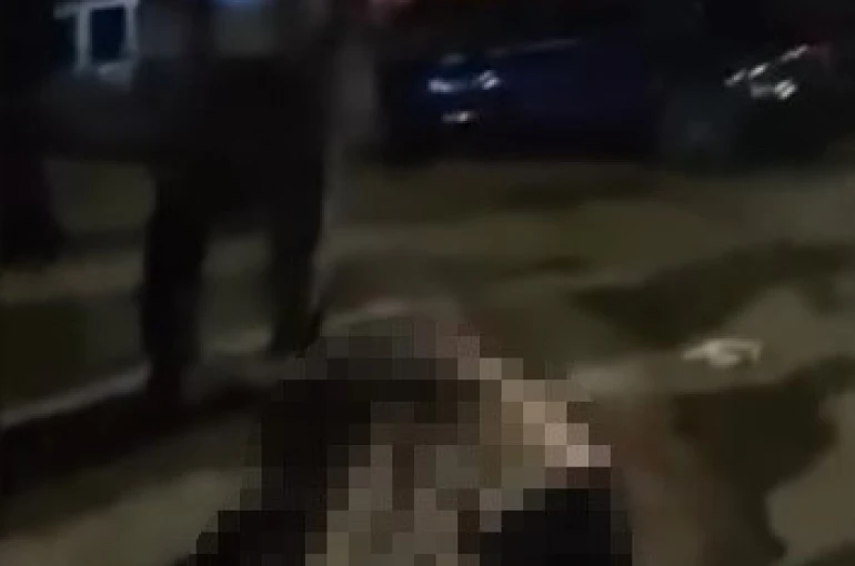 Muş-Bitlis yolunda otomobilin çarptığı yaşlı kadın hayatını kaybetti 