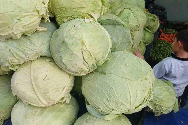 Muş lahanaları Diyarbakır’da tezgahlarda yerini aldı 