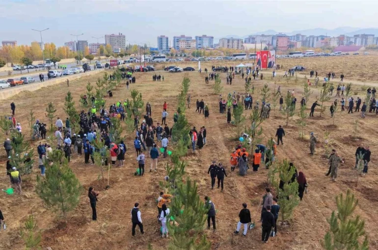 Muş’ta 20 bin fidan toprakla buluşturuldu 
