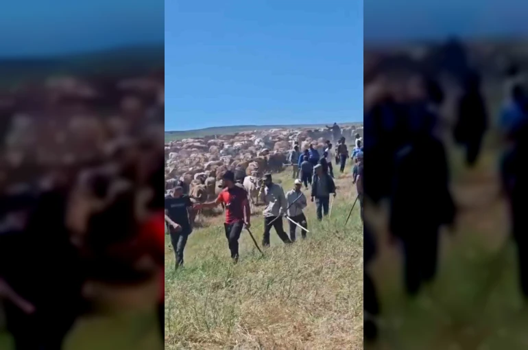 Muş’ta iki köy arasında ’arazi’ kavgası: 2 yaralı 