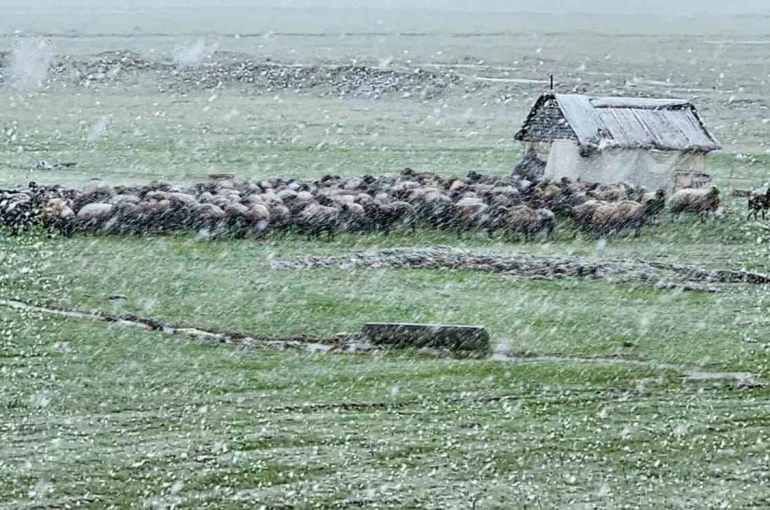 Muş’ta nisan karı etkisini sürdürüyor: 22 köy yolu ulaşıma kapandı