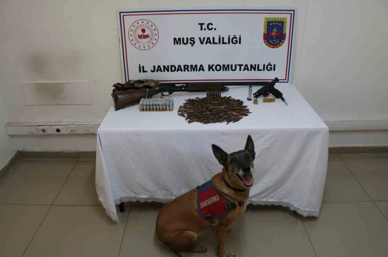 Muş’ta tezek yığınının altından silah ve mühimmat çıktı