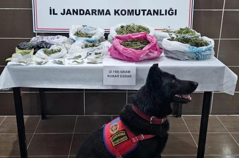 Muş’ta uyuşturucu operasyonu: 1 gözaltı 