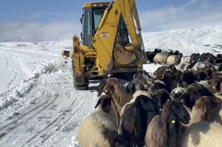 Muş’ta yoğun kar yağışı 