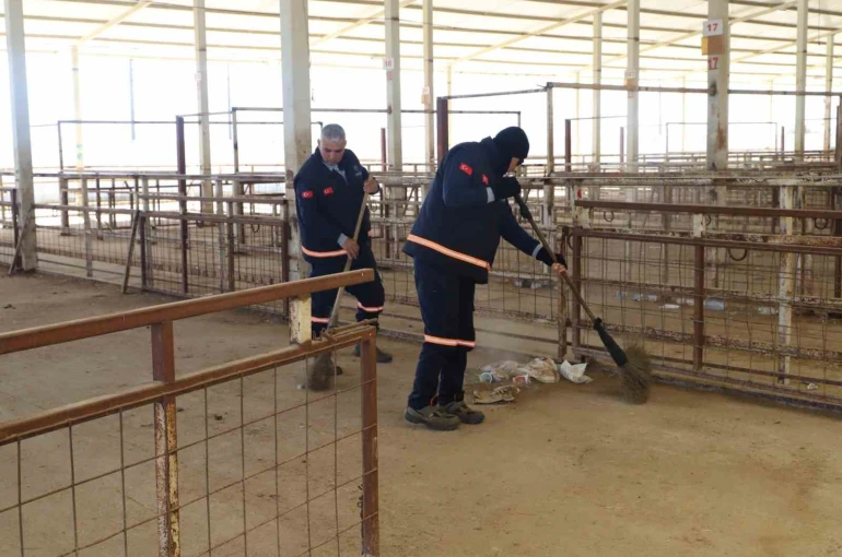 Nazilli Hayvan Pazarı 7 ay sonra yeniden açılıyor 