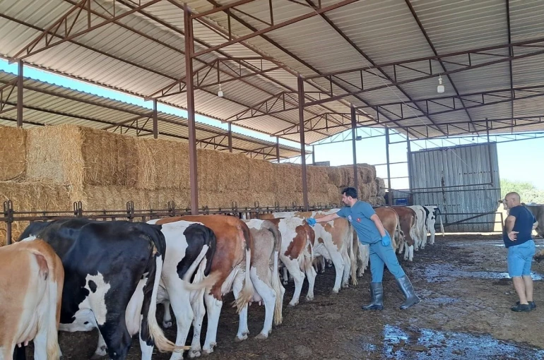 Nazilli’de 14 mahalle karantinaya alındı 
