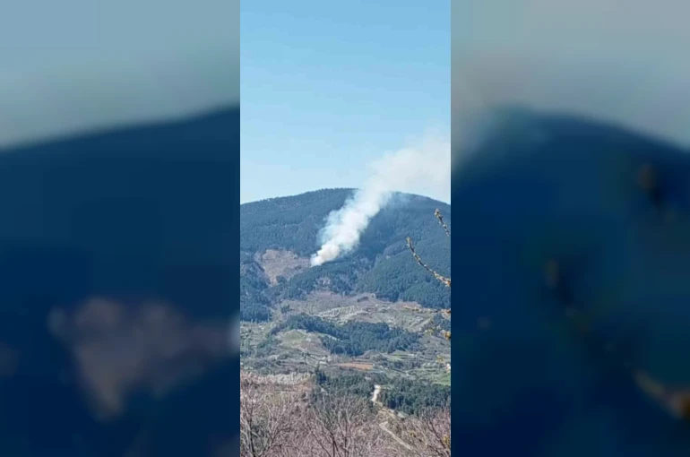 Nazilli’de orman yangını 