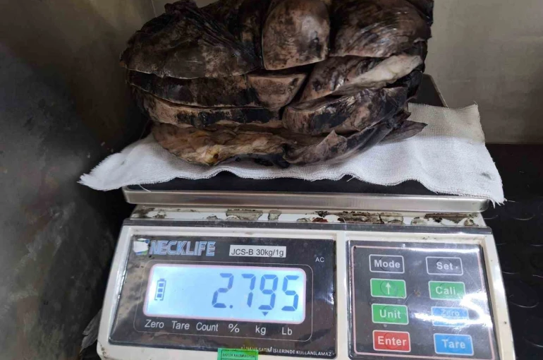 Nefes darlığı şikayeti ile hastaneye gitti, göğsünden 3 kilogramlık tümör çıktı