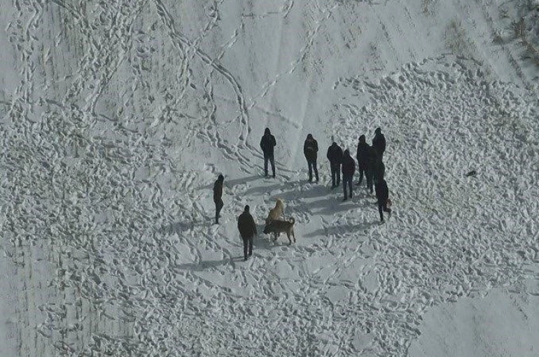 Nevşehir’de köpek dövüşüne jandarma baskını 
