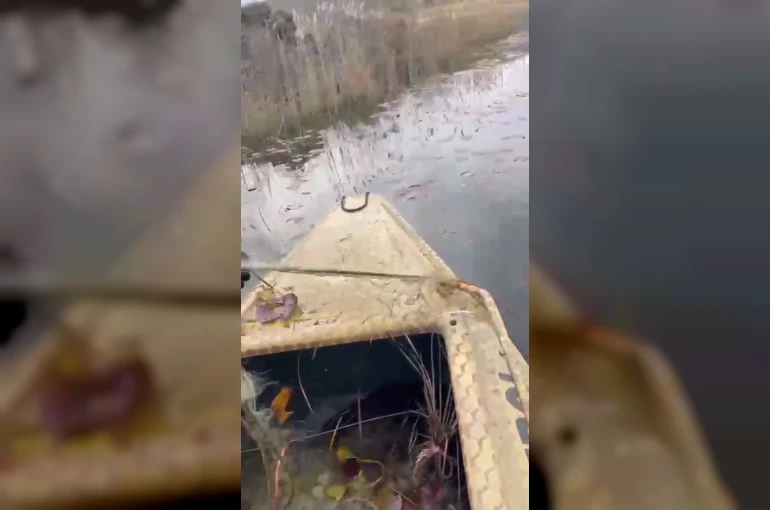 ‘Nilüfer Cenneti’nde kaçak avcılığa ‘dur’ denildi 