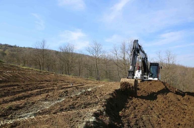 Nilüfer’de atıl araziler bereketleniyor 